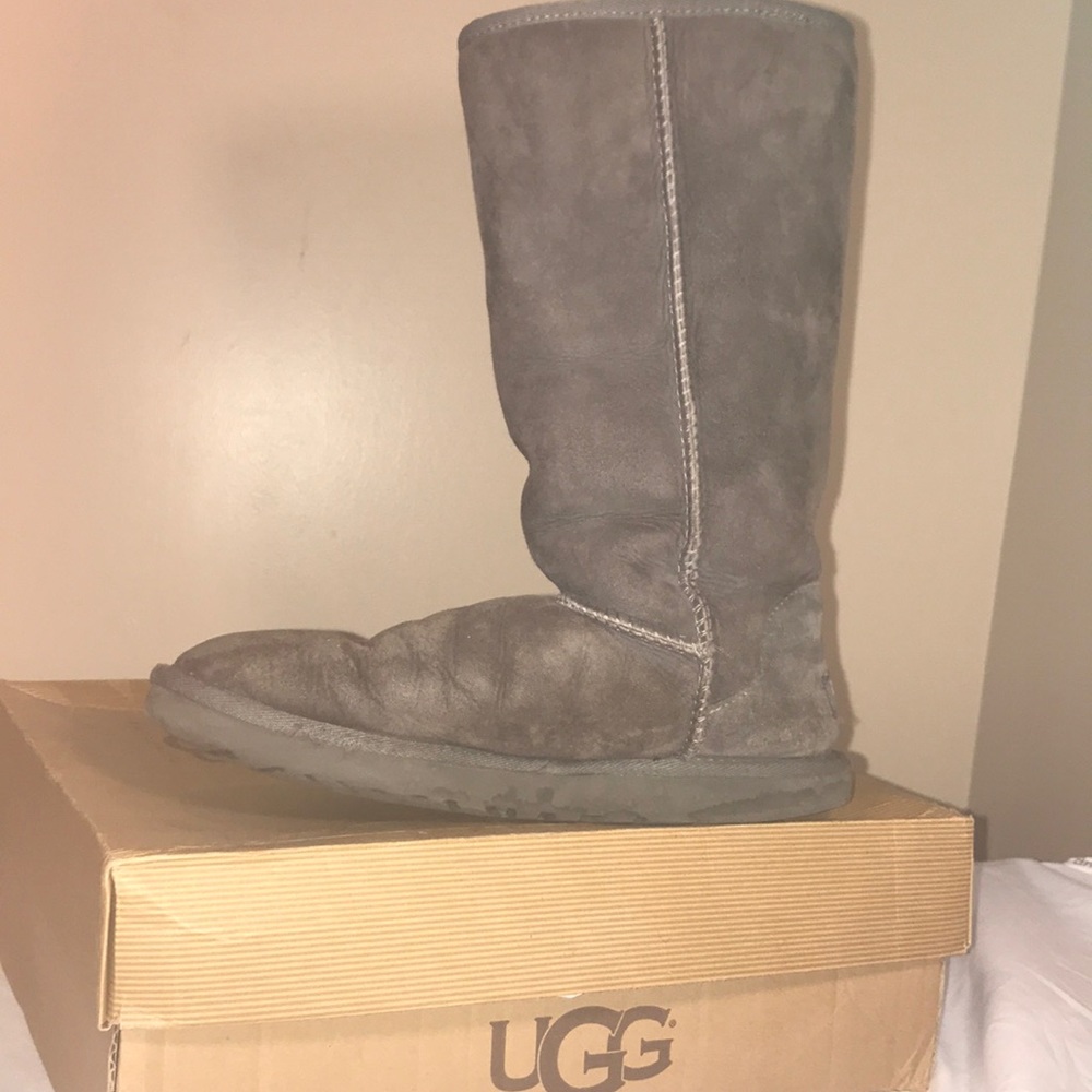 Authentic Gray Tall Uggs - Picture 6 of 8